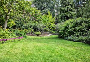 Optimiser l'expérience du jardin à Pindray