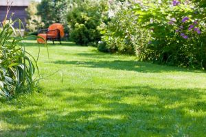 travaux jardin et paysage Pindray